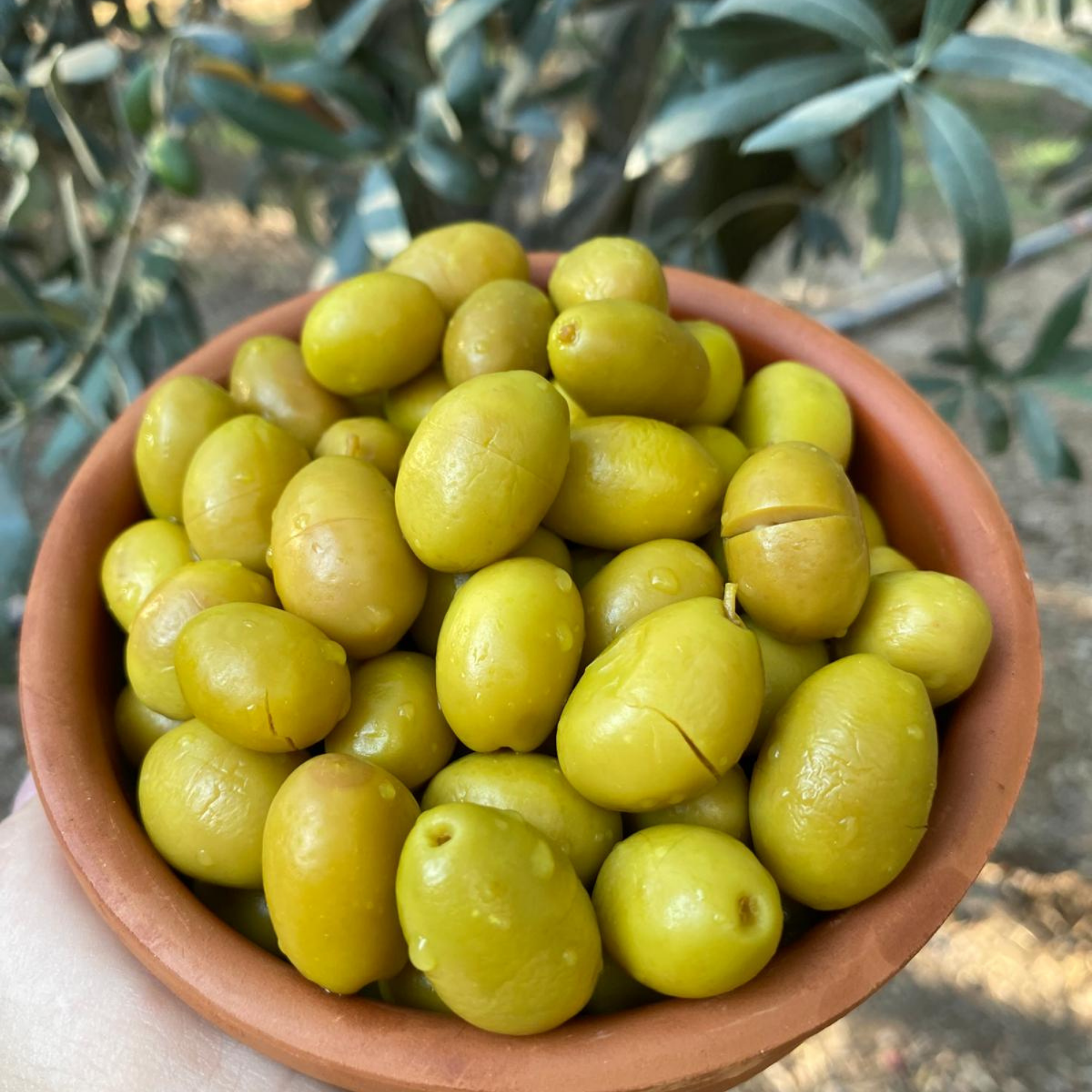 5 kg domat kırma zeytin