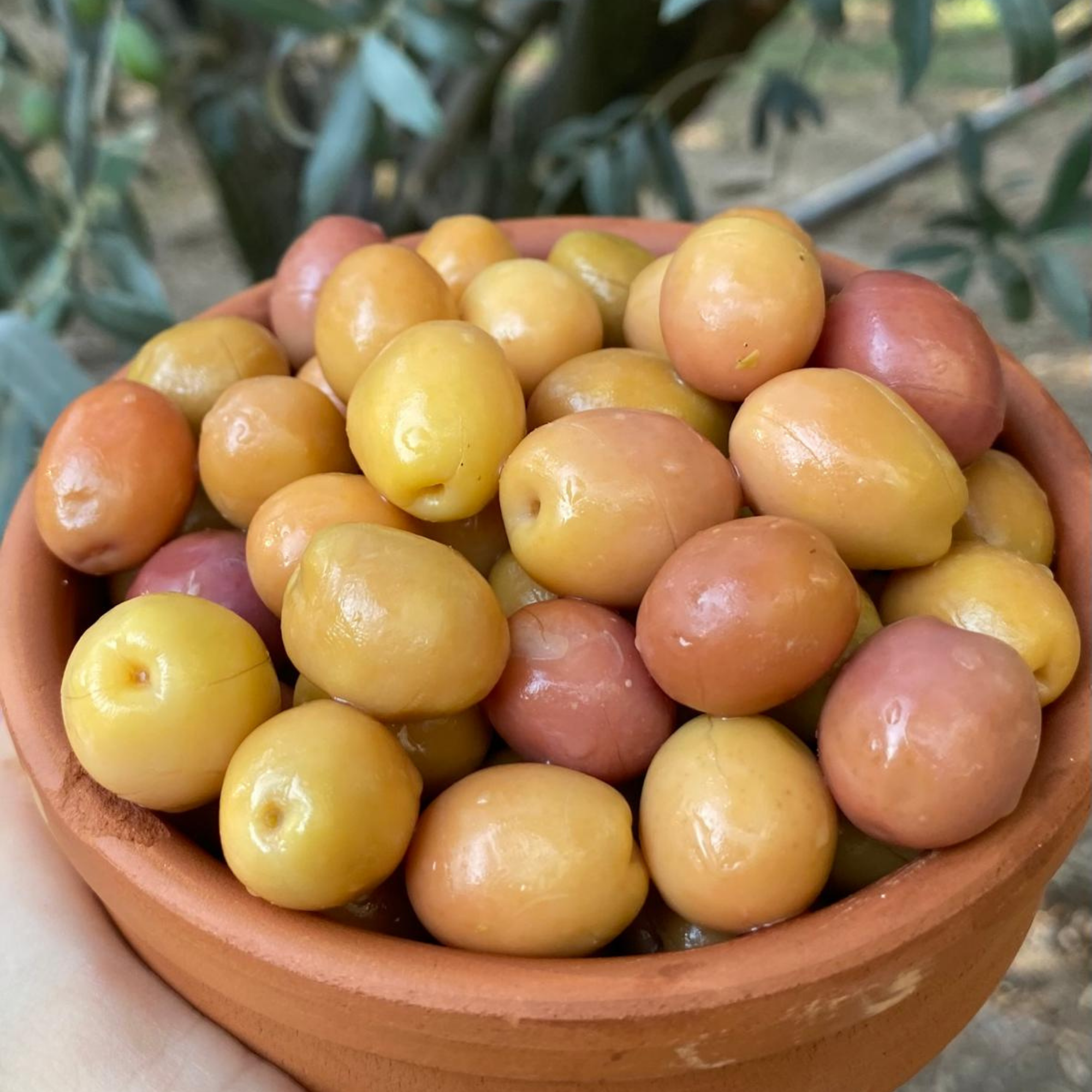 5 kg edremit çizik zeytin